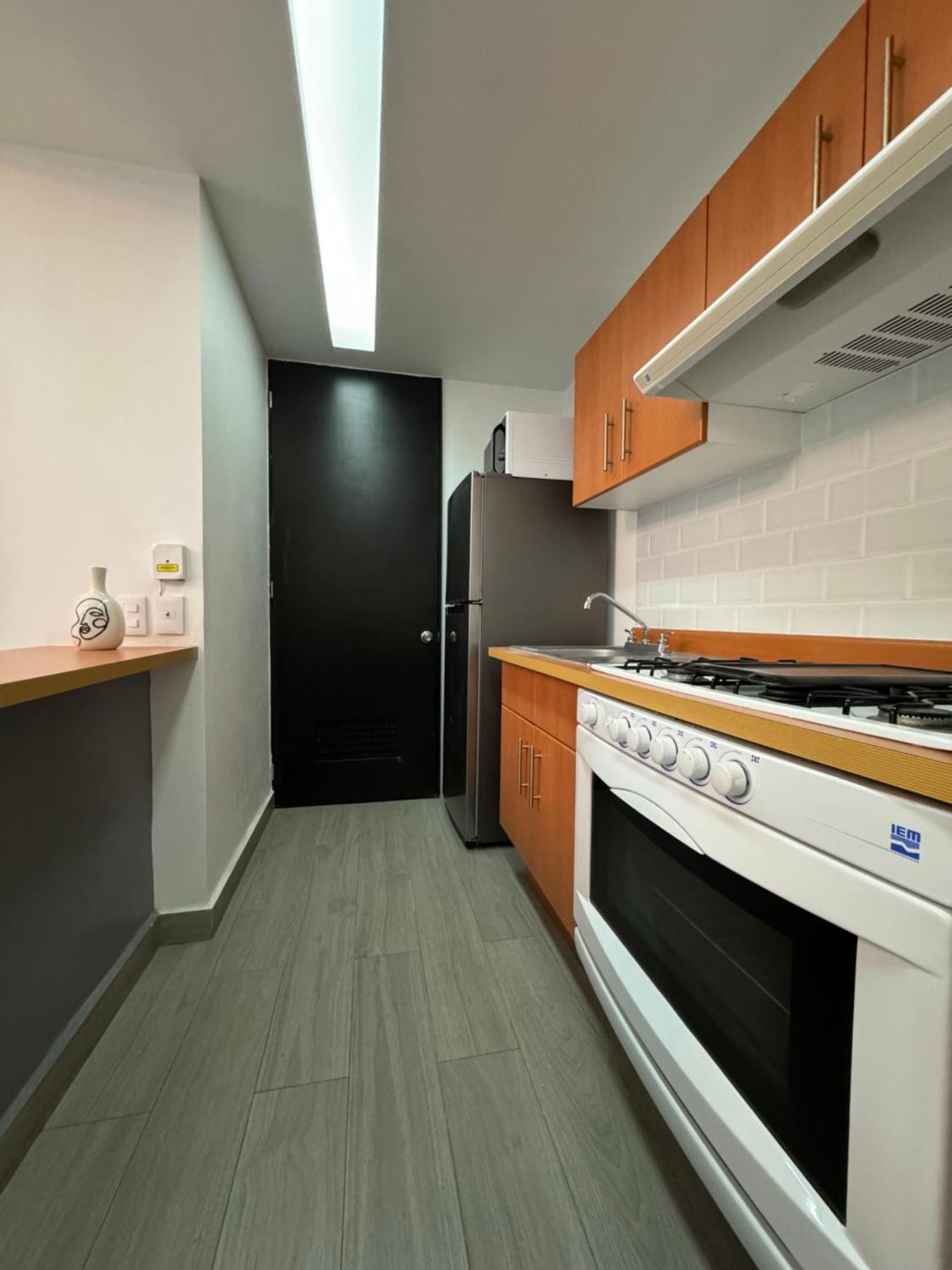 Departamento Elefante Apartment Mexico City